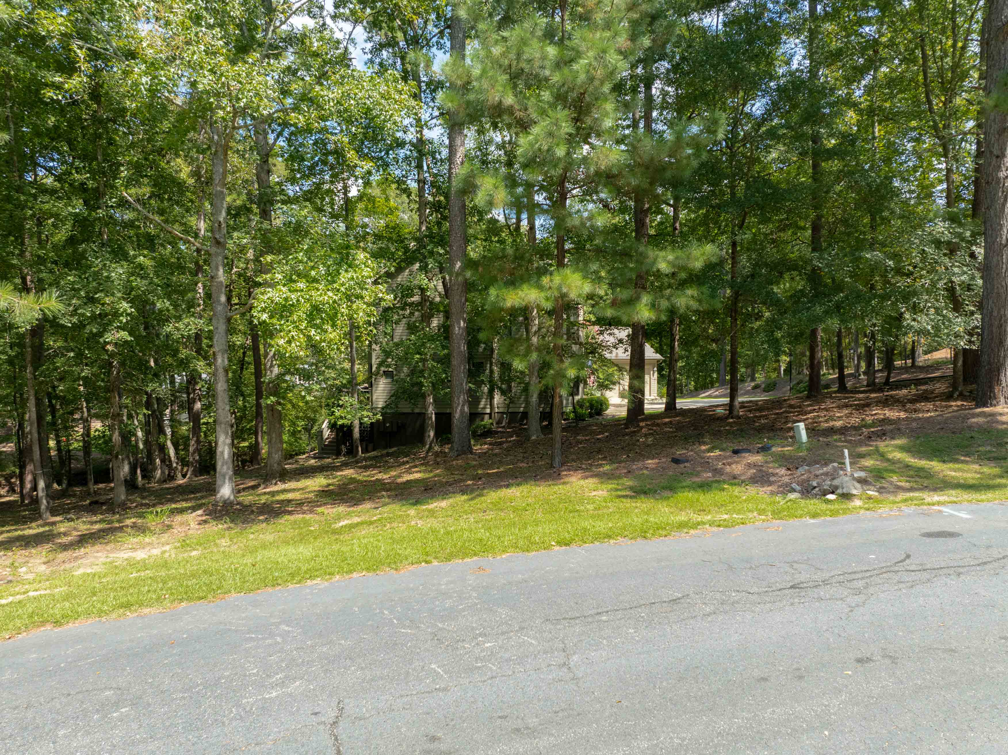 1021 Branson Bluff image 3